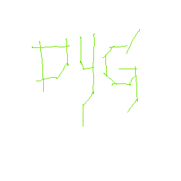 DYG Logo